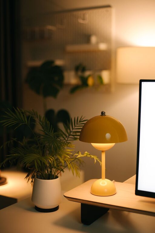 Tips for Creating a Cozy and Functional Home Office Space